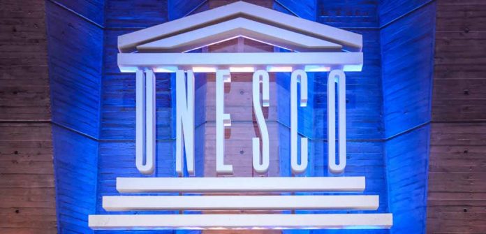 Programme de stage UNESCO 2024