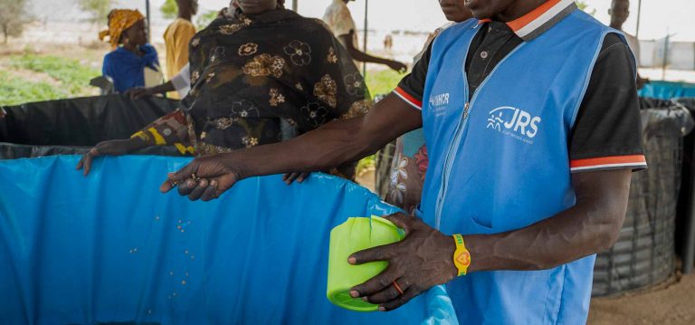 Job advert: Meal Field Assistant – CRS