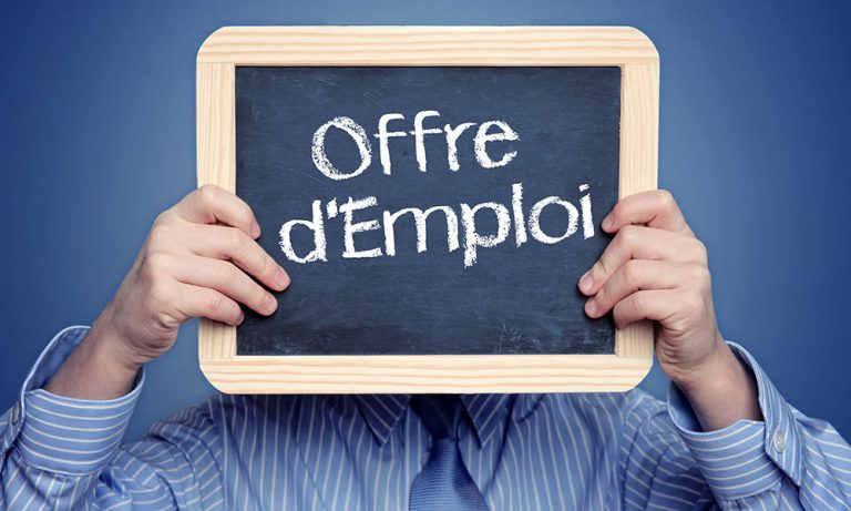 Offre d’emploi: Plusieurs profils – BEETLE HERITAGE