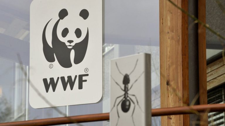 Offre de Stage Entièrement Financé – WWF Cameroun
