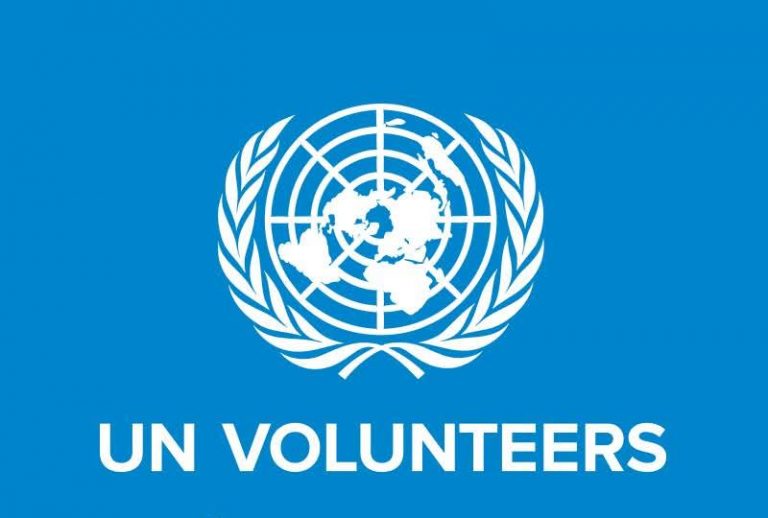 Opportunités de Volontariat aux Nations Unies pour 2025