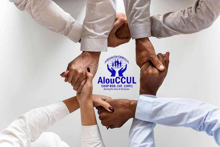 Job opportunity: LOAN OFFICER – AlouCCUL