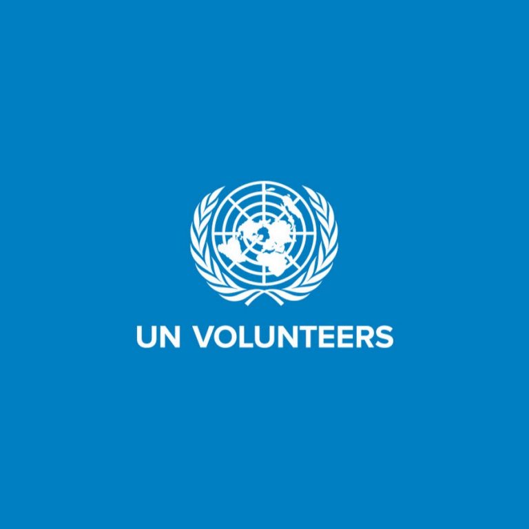 United Nations Volunteers opportunity 2025