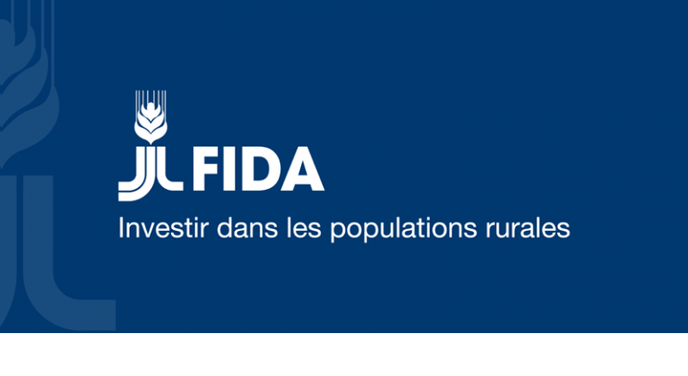 Programme de Stage FIDA 2026 : Lancez Votre Carrière