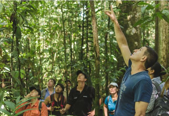 Bourses OIBT 2026 pour formations et recherche en foresterie